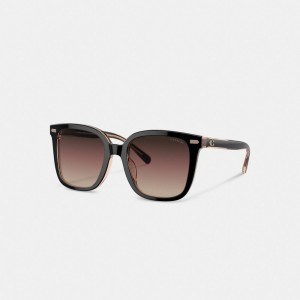 Coach Beveled Signature Oversized Square Sunglasses Briller Dame Svarte Rosa | JCT208516