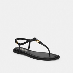 Coach Jessica Sandal Sandaler Dame Svarte | ZWO178230