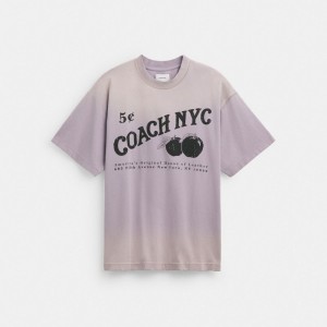 Coach Signature Apple T Shirt Topper Herre Lilla | IWZ329571