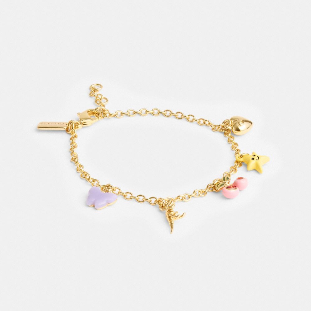 Coach Cherry And Heart Charm Bracelet Smykker Dame Gull Multicolor | UPW309675