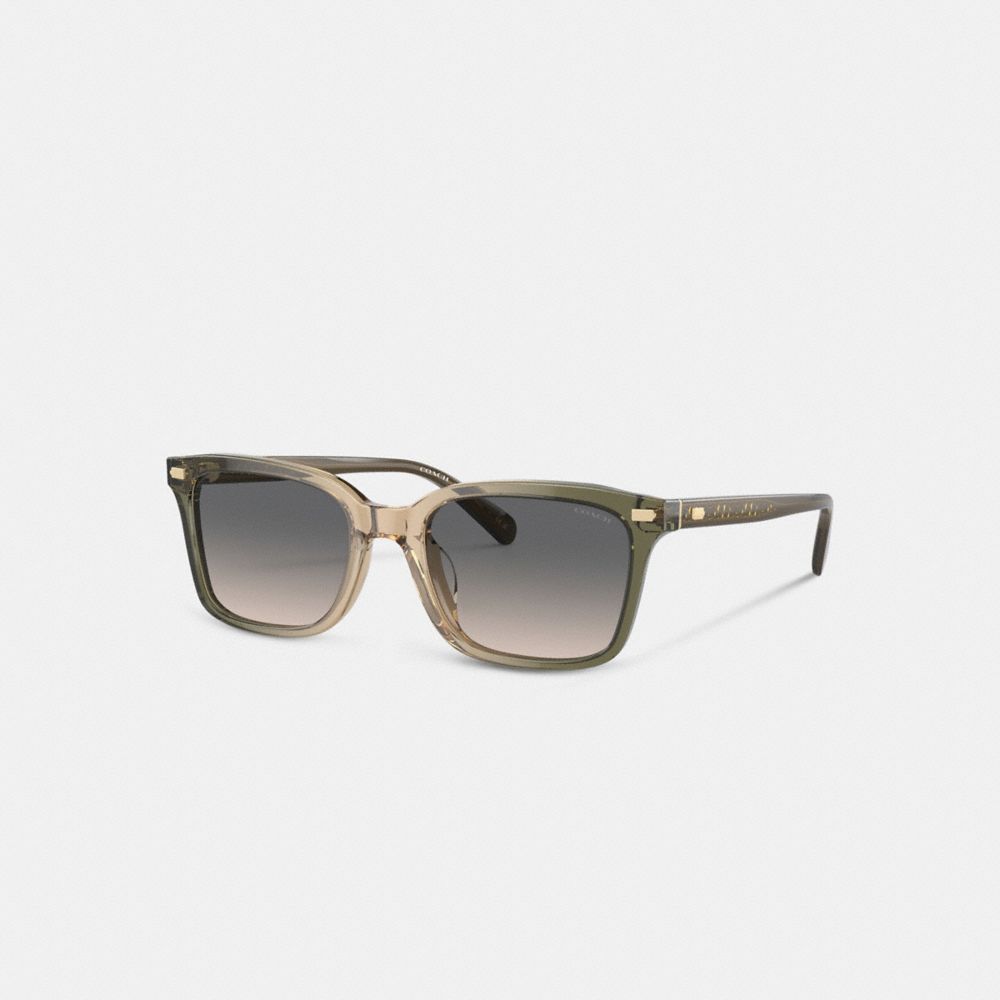 Coach Narrow Square Sunglasses Solbriller Herre Grønn Brune | EUA497326