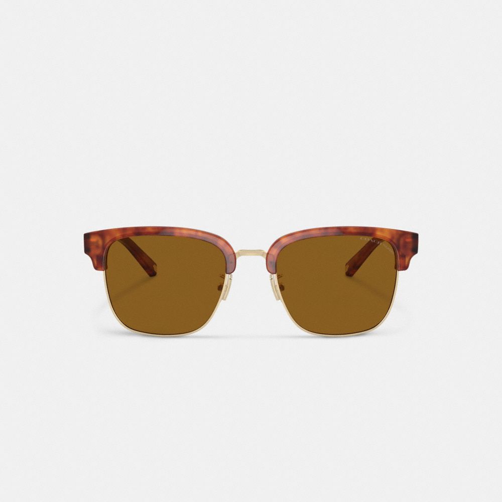 Coach Retro Sunglasses Solbriller Herre Brune | CDS785294