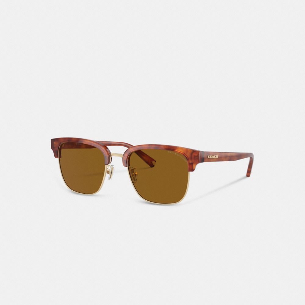 Coach Retro Sunglasses Solbriller Herre Brune | CDS785294