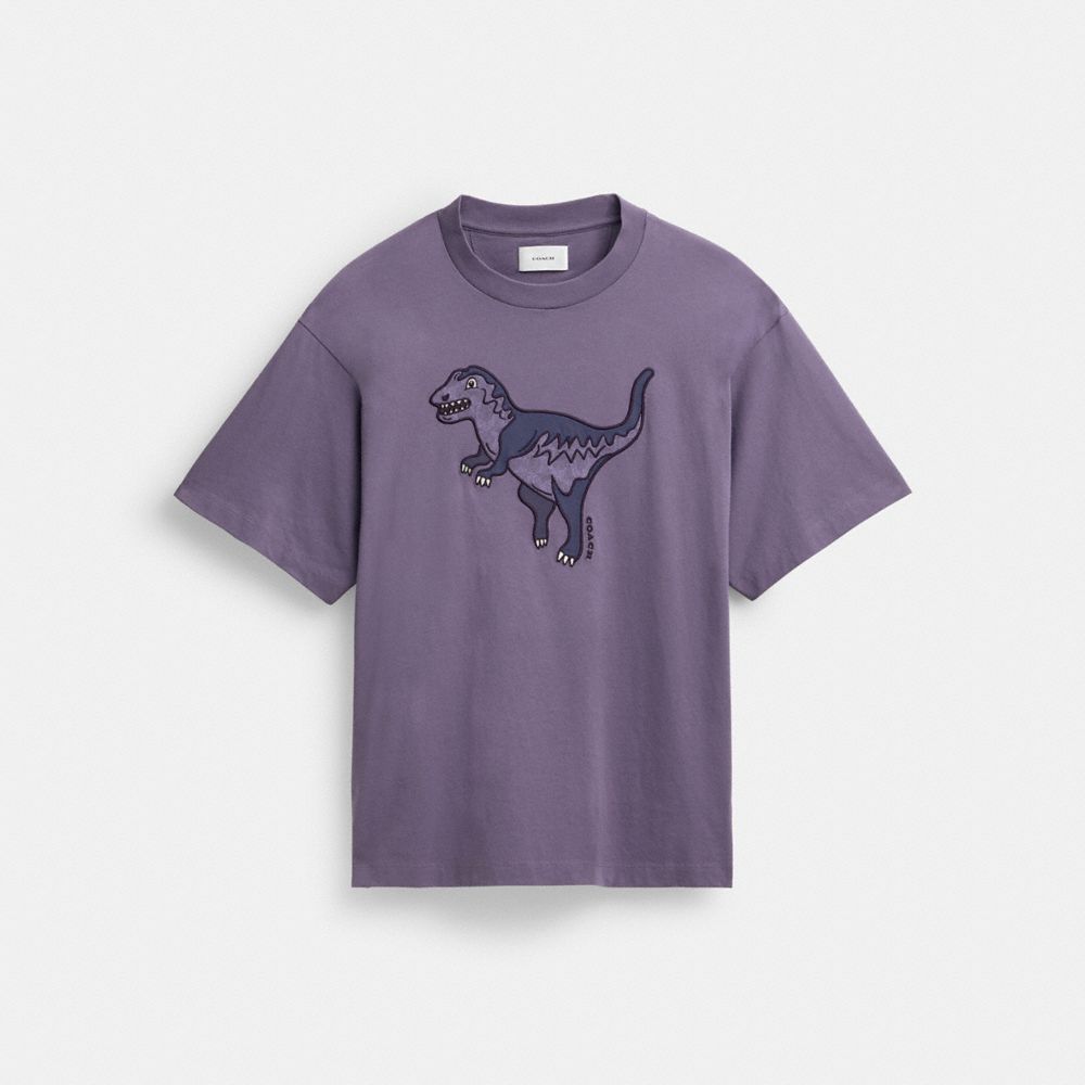 Coach Rexy T Shirt In Organic Cotton Topper Herre Lilla | BRH235896