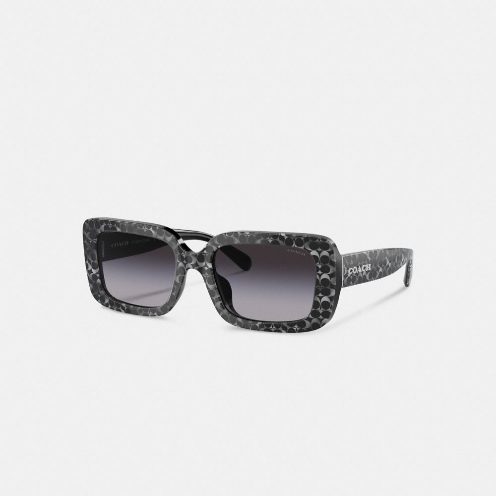 Coach Signature Oversized Rectangle Sunglasses Briller Dame Sølv | ELC784069