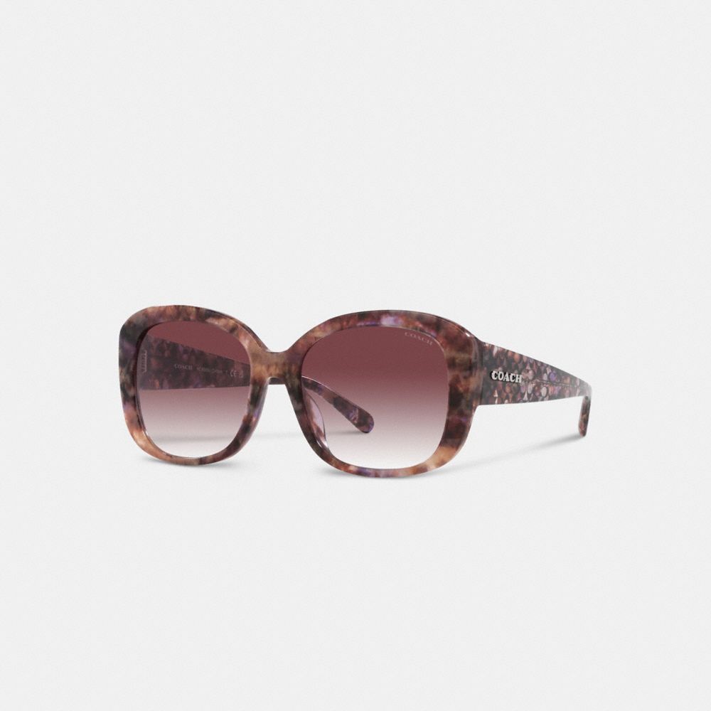 Coach Signature Oversized Square Sunglasses Briller Dame Lilla | KDA703916