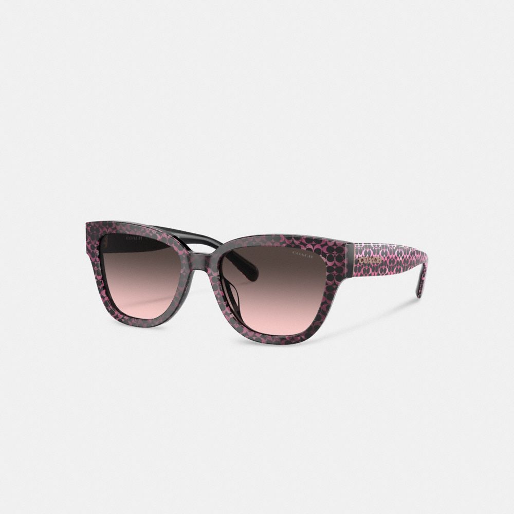 Coach Signature Round Sunglasses Briller Dame Multicolor | TGJ416928