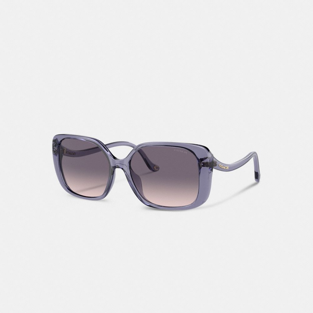 Coach Swoop Temple Rectangle Sunglasses Briller Dame Lilla | TVE482613